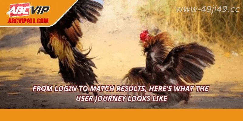 How the 49JILI Sabong platform works