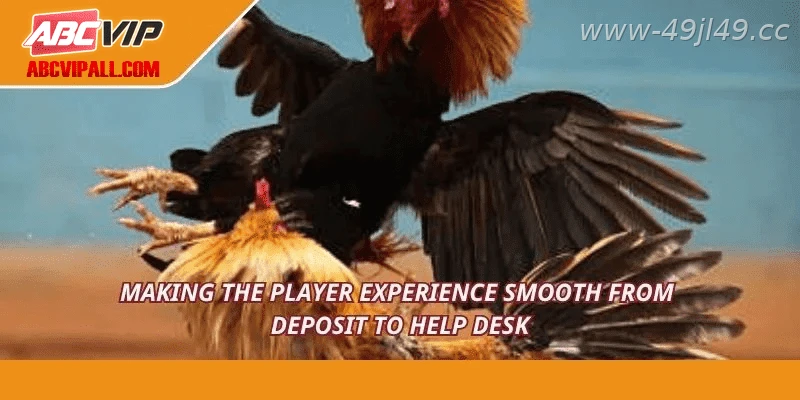 Payment systems, tutorials, and customer support