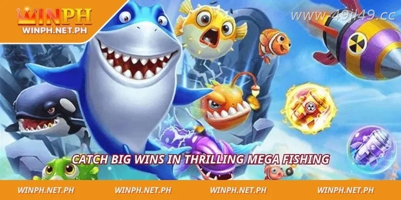 A complete overview of the Mega Fishing arcade experience