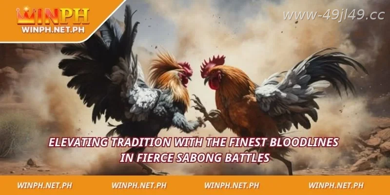 Popular Hatch bloodlines favored by experienced players