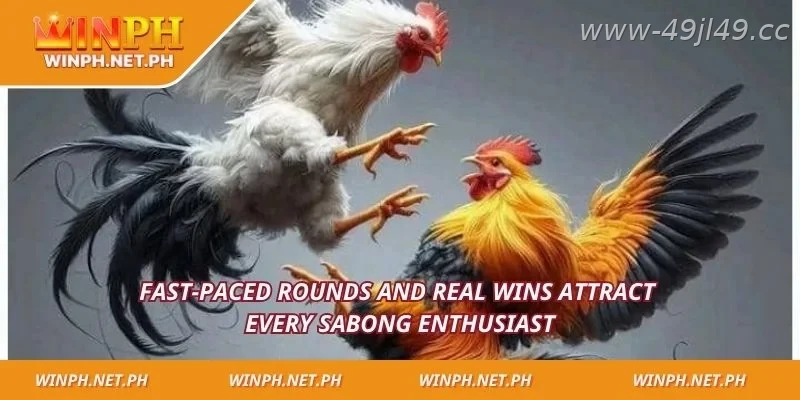 Hatch Sabong attracts players through speed and strong odds