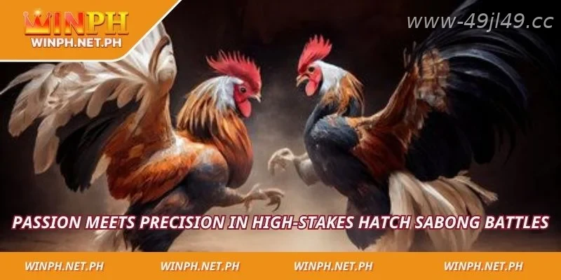 Hatch Sabong remains a popular choice for competitive bettors